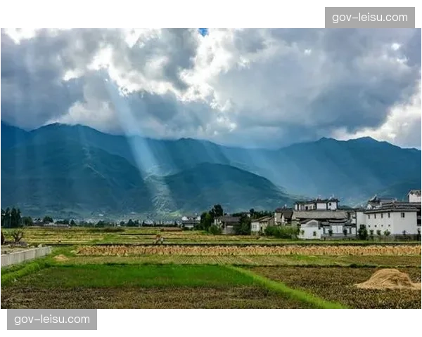 35局18胜决赛考验选手全能性，战术从搏杀到布局的思维升级成为关键